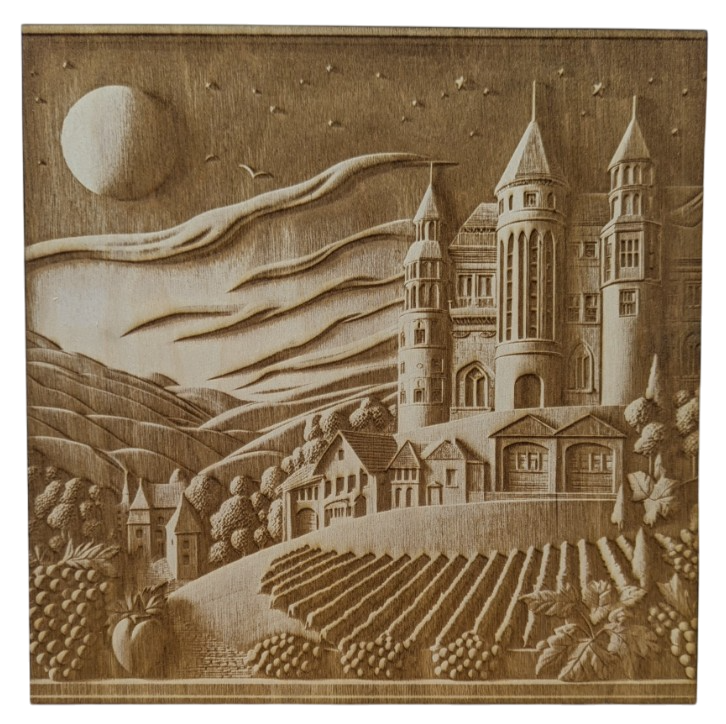 Vineyard with castle